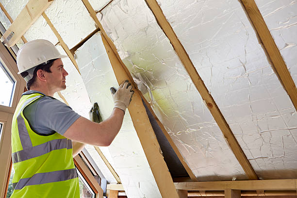 Best Attic Insulation Installation  in Alamo, TX